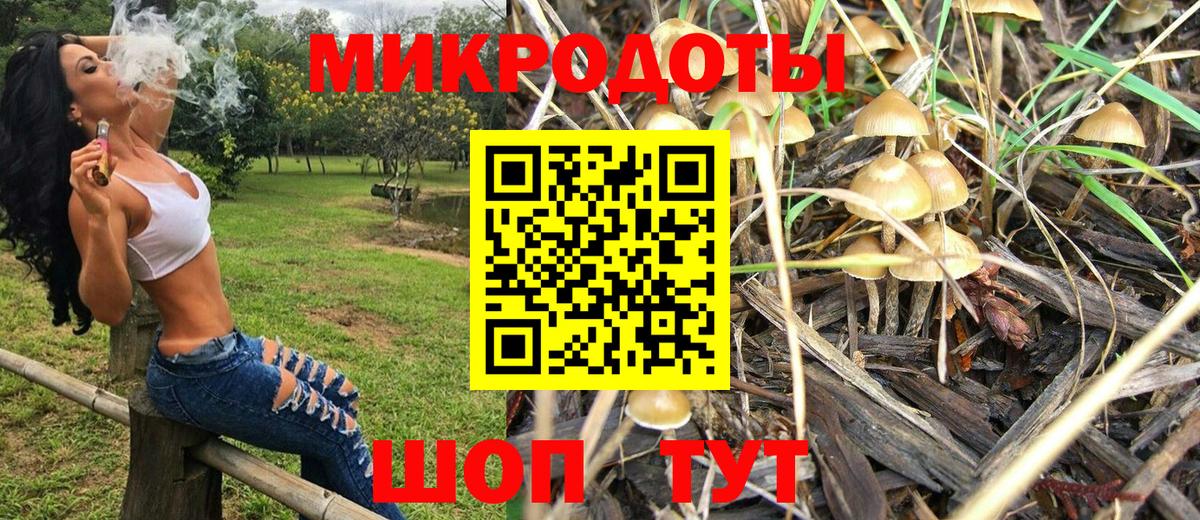 Галлюциногенные грибы прущие грибы  как найти наркотики  Ливны  Вход с VPN  Псилоцибиновые грибы Psilocybine cubensis 